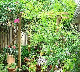 New arbor for bougainvillea support. | Hometalk