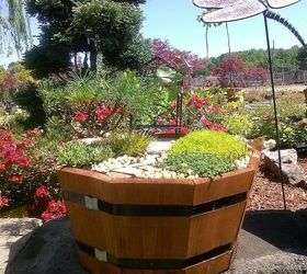 pot rambling, container gardening, flowers, gardening, hydrangea, perennials