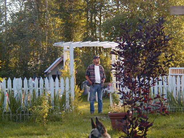 tenant yard in alaska cobblestone amp hardscaping, flowers, gardening, outdoor living