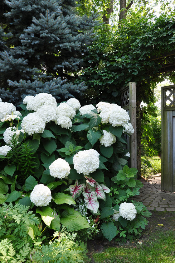 ideas for that narrow space in between suburban homes