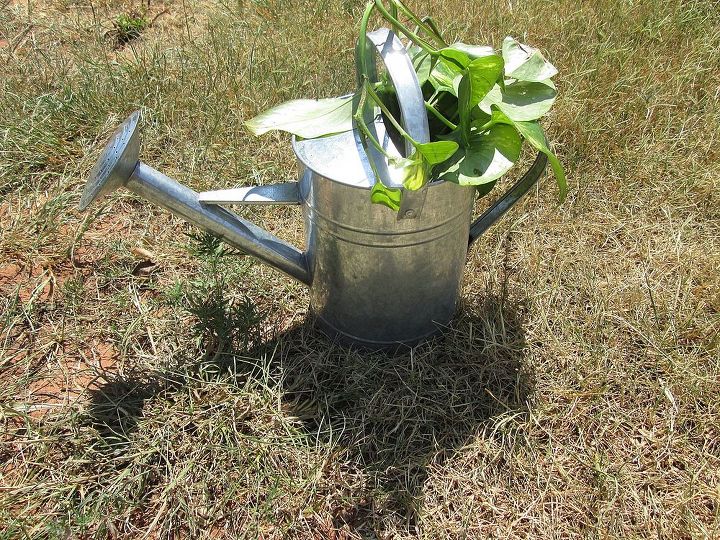 watering can planter, gardening, Too cute Watering Can