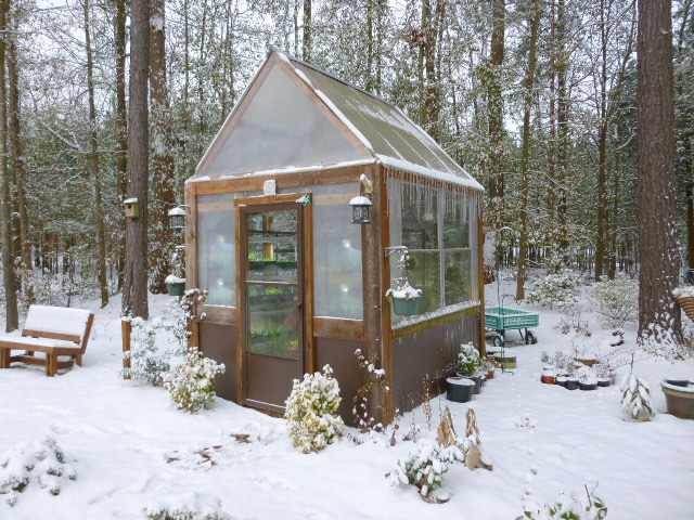 greenhouse 2014, flowers, gardening, outdoor living