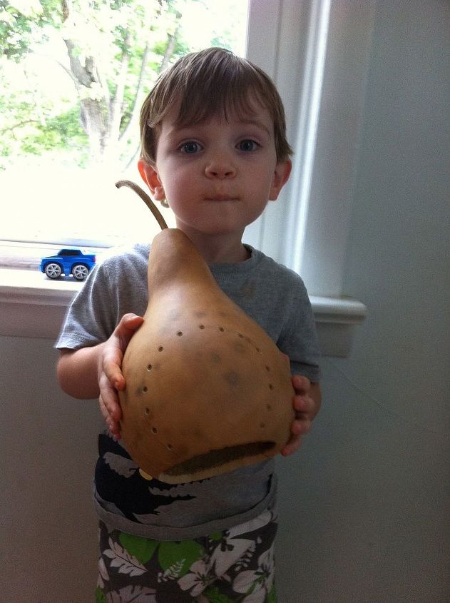 gourd toad house, crafts, My son showing the guide holes used to help cut out the bottom and door Bottom is already removed gourd cleaned inside