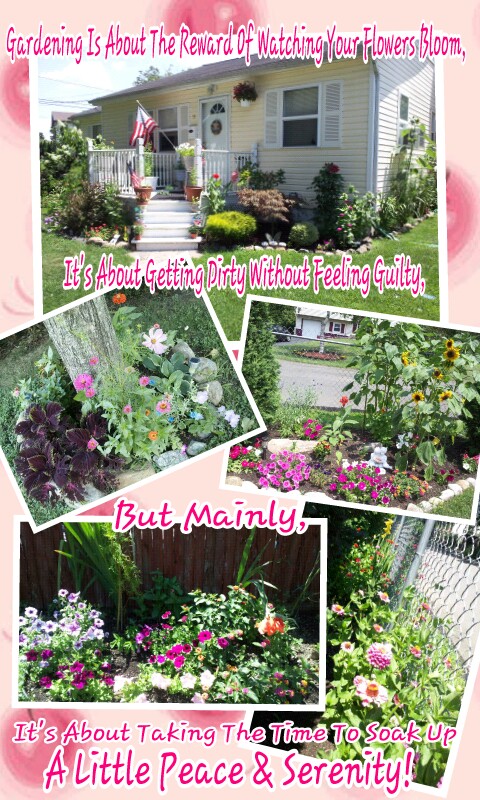 the reasons behind the love of gardening, flowers, gardening, Double Click on Photo To See Pic Quote Collage In Full Just a few pics of only a couple parts of many from my Garden More Pics are on Their Way If Interested