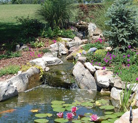 pond, gardening, outdoor living, ponds water features, July 2011
