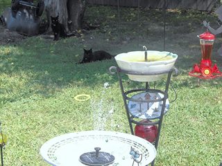 solar lights fountains bird baths water for cats dogs too, ponds water features, repurposing upcycling, The white table base was once a water garden I found a fan screen on the road side and cut the center out to hold the floating solar fountain in place