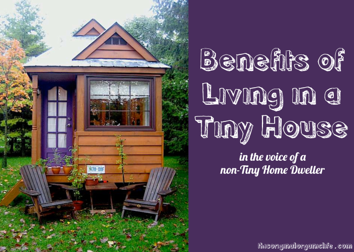 benefits of living in a tiny house, go green, homesteading