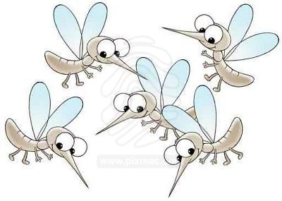 q skeeters gnats and flies oh my, outdoor living, pest control
