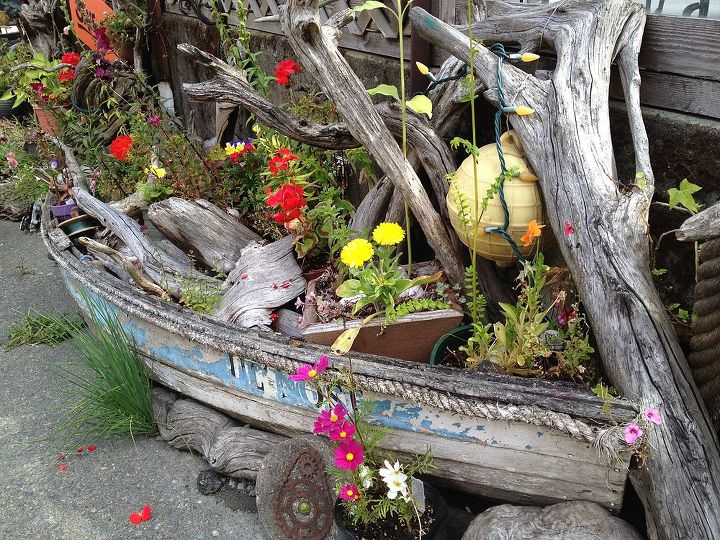 garden love lt 3, flowers, gardening, repurposing upcycling, succulents, Reclaimed and repurposed old boat becomes an amazing nautical planter just outside of the Mud Room fabulous clay mugs in a side street down to the wharf in Cowichan Bay