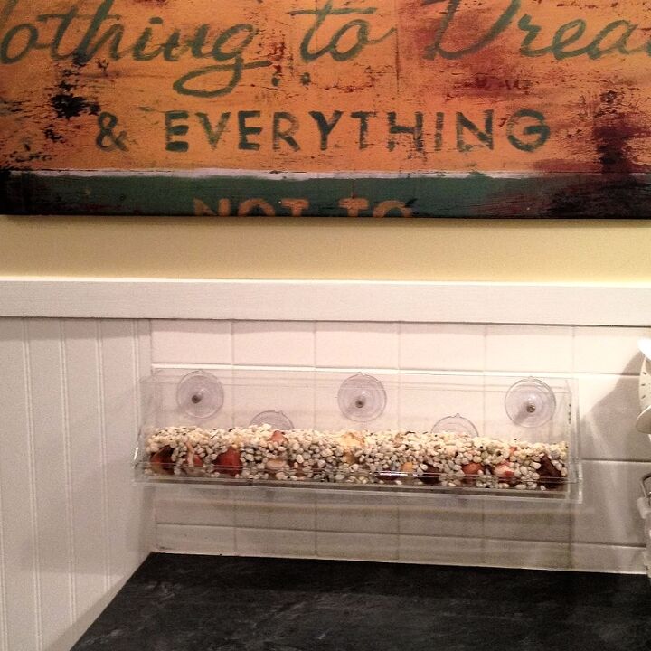 from a white barron backsplash to a kitchen bursting with spring color, container gardening, gardening, home decor, kitchen backsplash, kitchen design, wall decor