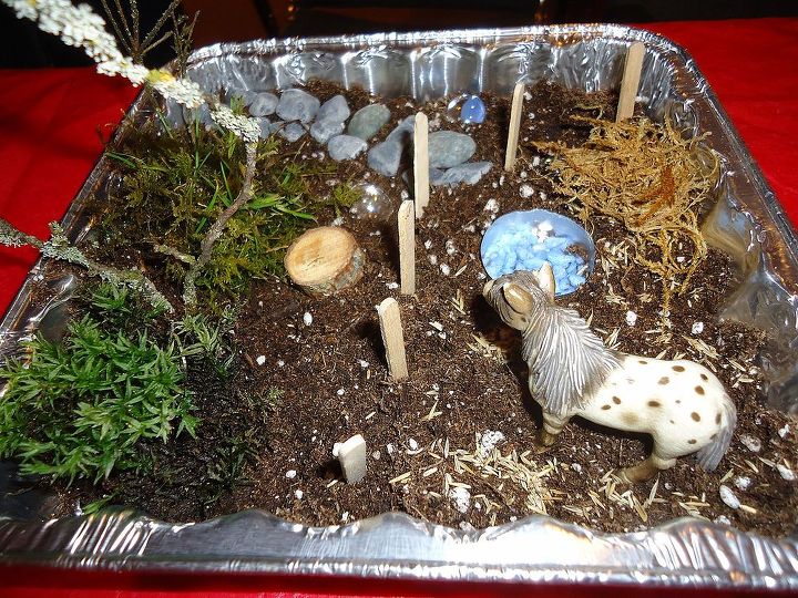 making miniature gardens with children, gardening