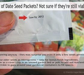 seed starting guide quick tips for starting seeds successfully, container gardening, gardening