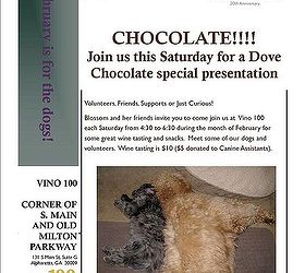 chocolate and wine plus some great dogs in alpharetta, The details