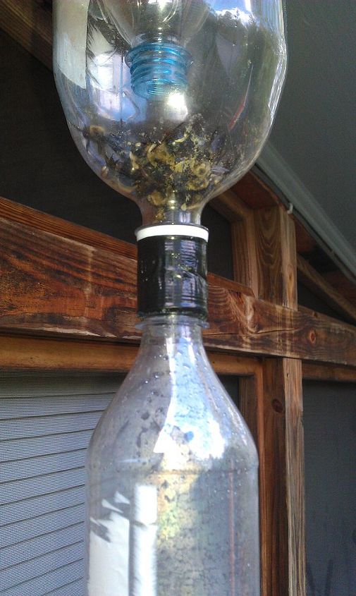 Carpenter Bee Trap Hometalk Carpenter Bee Trap Hometalk