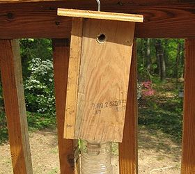 Carpenter bee house building