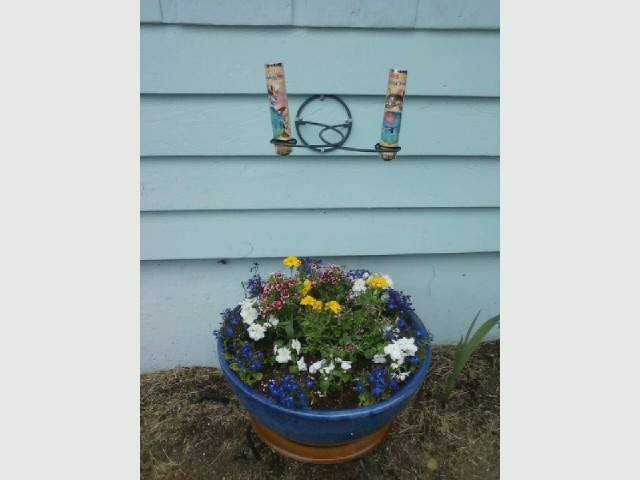 kaleidoscope flower pot, flowers, gardening