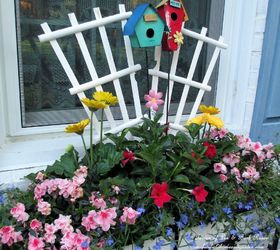 the merry merry month of may, flowers, gardening, hydrangea, windowbox with mandevilla azaleas gerber daisies and lobelia