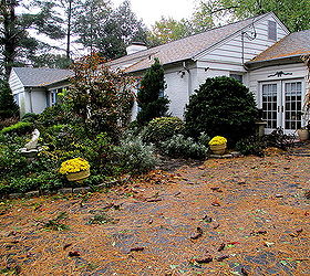 weathered the storm well, home decor, landscape, outdoor living, storm debris
