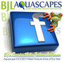 BJL Aquascapes