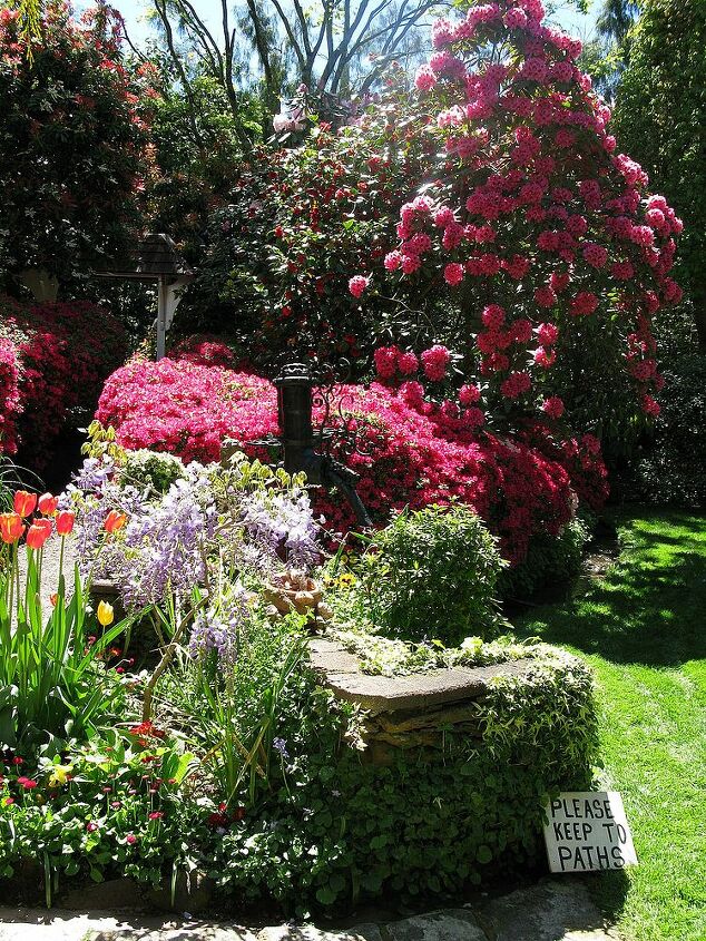 leura garden festival kicks off this weekend i can t wait, flowers, gardening