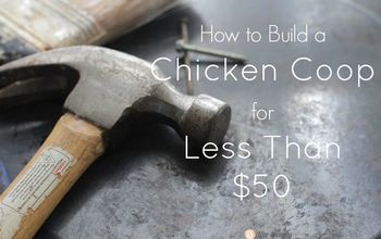 How to Build a Chicken Coop for Less Than $50