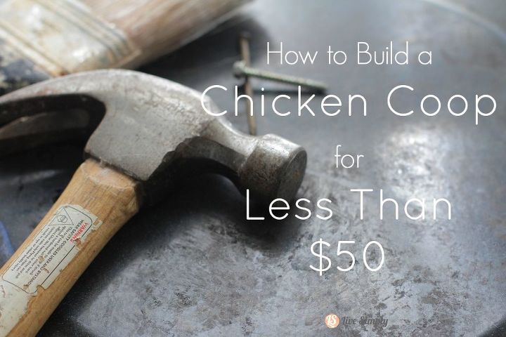 how to build a chicken coop for less than 50, diy, homesteading, how to, pets animals