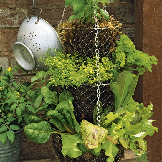 small space garden ideas, container gardening, gardening, homesteading, repurposing upcycling