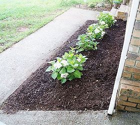 cleaning out the flower bed, cleaning tips