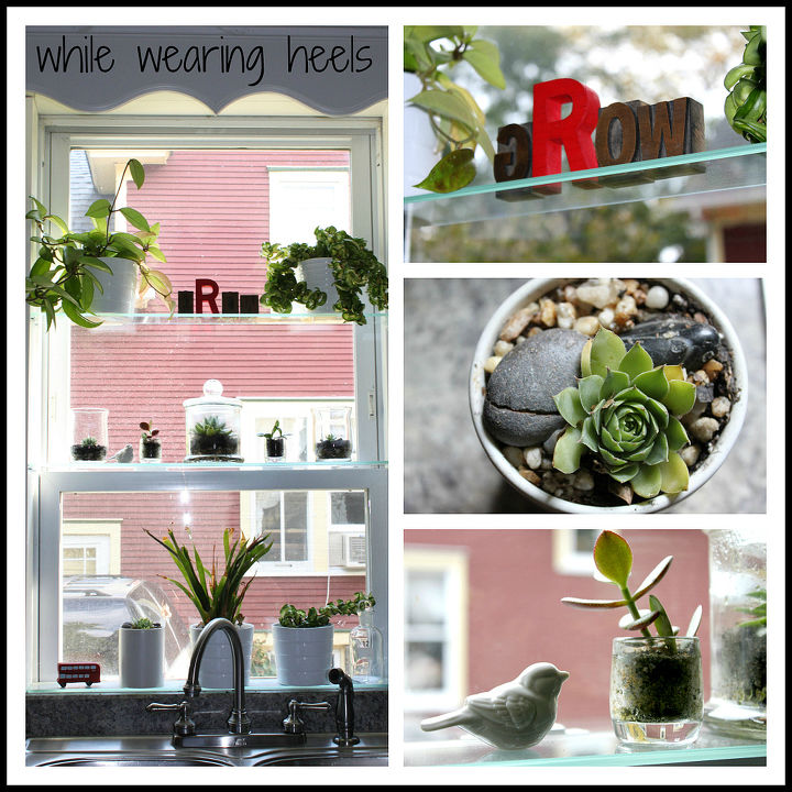 add glass shelves to any window with good sunlight to turn it into a greenhouse, home decor, shelving ideas, windows, My personal greenhouse located above my kitchen sink The possibilities are endless Displaying nicknacks plants or herbs