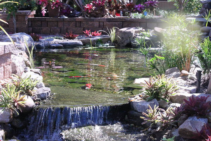 touching lives physically emotionally and spiritually with water, fireplaces mantels, outdoor living, ponds water features, The fish seem to really enjoy this Eco system paradise