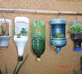 my new hobby collecting different kinds of succulent plants, flowers, gardening, home decor, succulents, repurposing plastic bottles as planter