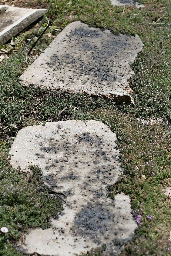 how to stain concrete safe and inexpensive, concrete masonry, landscape, Then I used the magic ingredient Ironite It is lawn fertilizer You can find it at Home Depot Just wet down the concrete sprinkle some on and then sprinkle a little bit more water on top Let sit for 24 48 hours