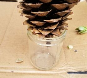 Collect pine cones to copy this wild idea for your windows