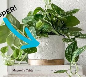 10 smart & unexpected ways you should be using spices in your home