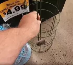 He grabs a spare tomato cage for this gorgeous outdoor idea