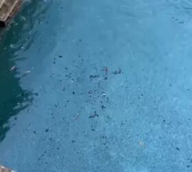 Stick this to the side of your pool for the easiest cleaning shortcut of all time