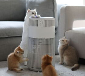 This is unlike ANY air purifier you've ever seen (& your cats will LOVE it!)