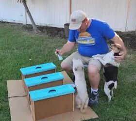 <b>This DIY Dad loves spoiling his pups with GURU dog toys!</b>