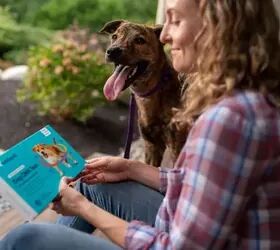 This is the real way to find out EVERYTHING about your dog (& we mean <em>everything</em>!)