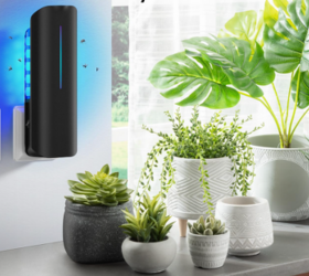 12 popular mosquito-repelling products that actually work