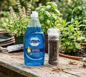 The brilliant reason everyone might want to mix black and cayenne pepper with Dawn dish soap this week
