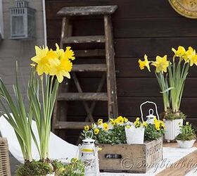 i am a member of crate collectors anonymous, home decor, repurposing upcycling, Bright yellow flowers and a rustic vintage beer crate Spring on my garden table