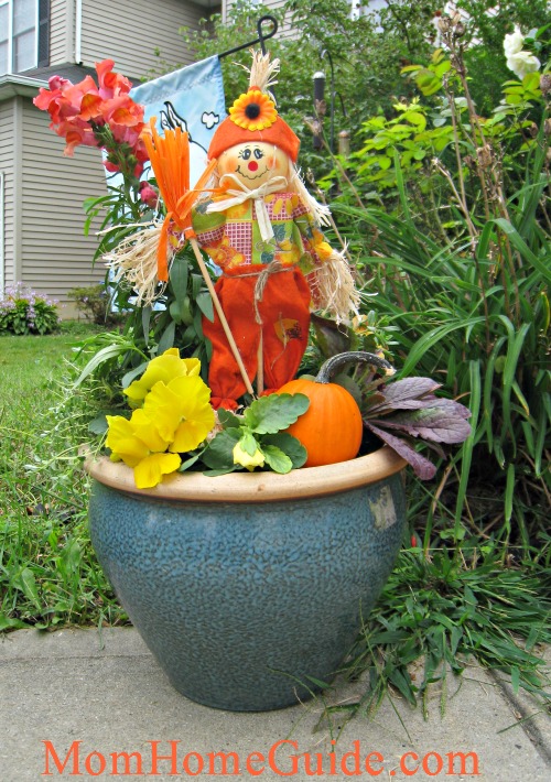 fall container gardens, container gardening, gardening, My other daughter s mini container garden she added a mini pumpkin to her creation