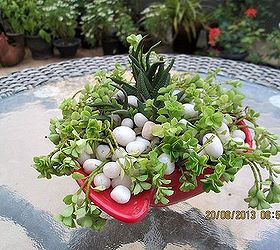 another succulent container, container gardening, flowers, gardening, succulents