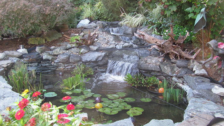 fall netting, outdoor living, ponds water features