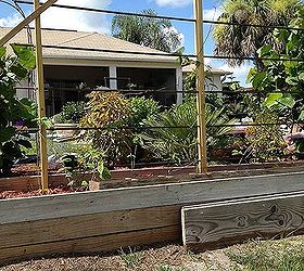 monster trellis for monster vine, diy, gardening, how to, outdoor living, woodworking projects, Box built of left overs