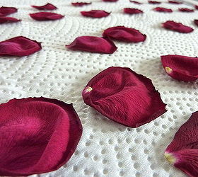 10 home diy projects that use pantone s color of the year for 2023, 5 Dried rose petals