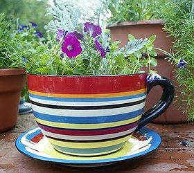 awesome site for small garden inspiration, container gardening, gardening, This cute little teacup planter is one of Anne s Creative ideas for portable gardens If you think this is cute you should see what else is there