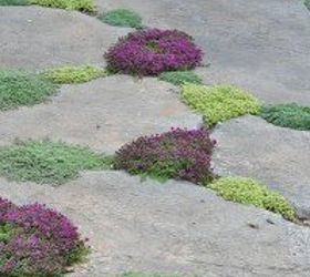 how to create a colorful and family friendly backyard, gardening, outdoor living, It has always been a dream of mine to create a stone walkway leading to the tree with the swing But it has to be dreamy looking This is a perfect way to trim the stones while adding color and incorporating useful herbs and plants
