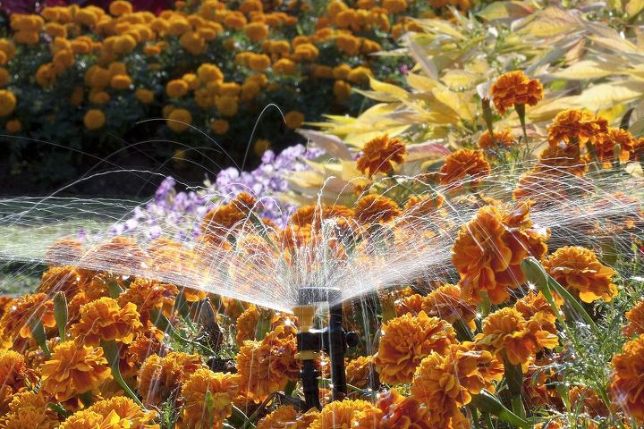 sprinkler installation, gardening, landscape
